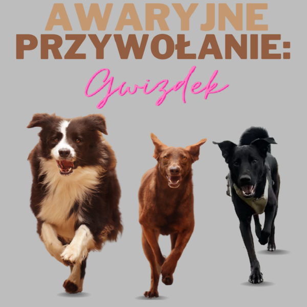 Awaryjne przywołanie